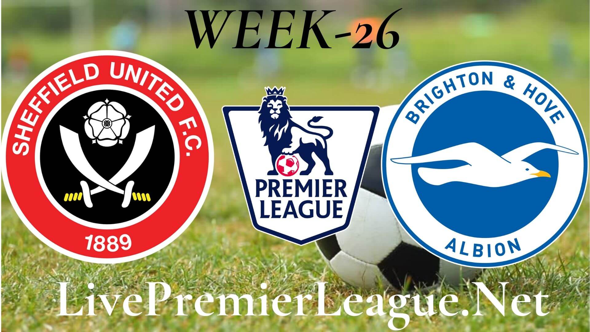 Sheffield United Vs Brighton And Hove Albion Live Stream | EPL Week 27